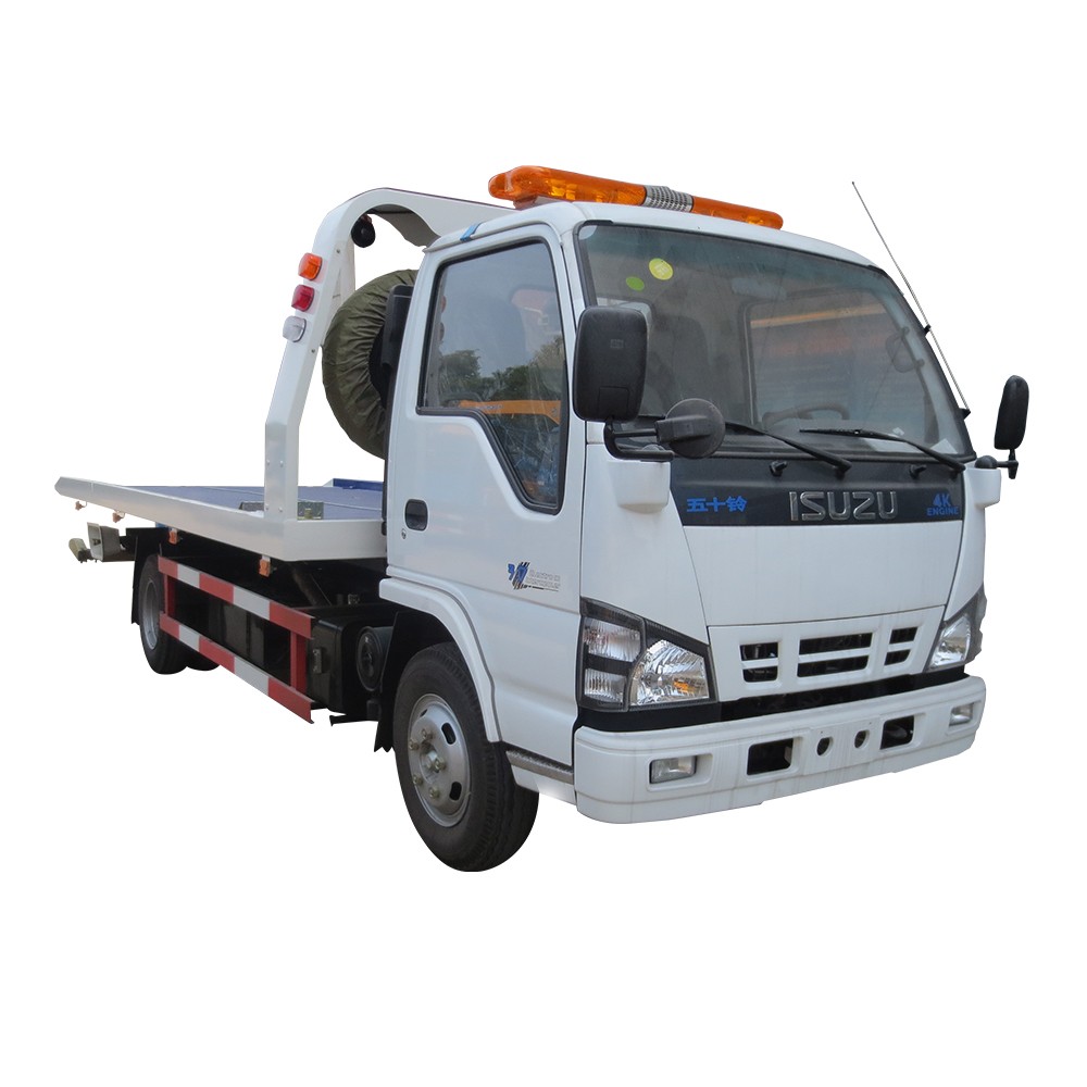 Grúa de plataforma de 5 toneladas